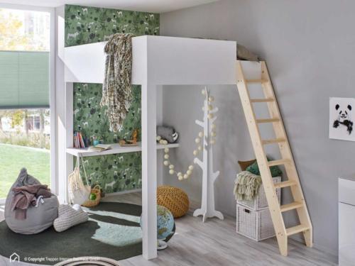 Holzleiter Intercon Safe Step