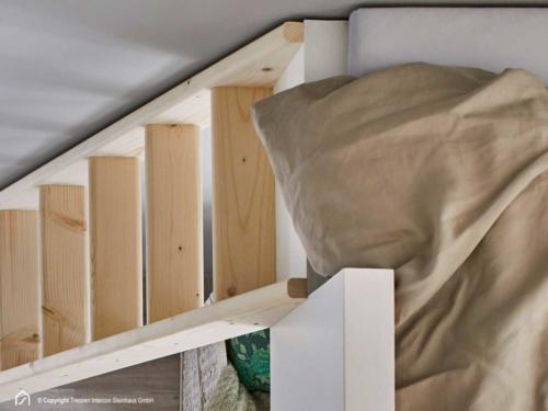 Holzleiter Intercon Safe Step 