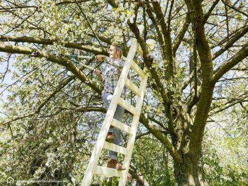 Obstbaumleiter Intercon Gala