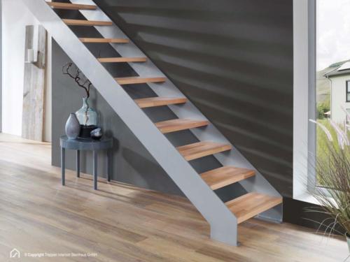 Wangentreppe Intercon Toronto