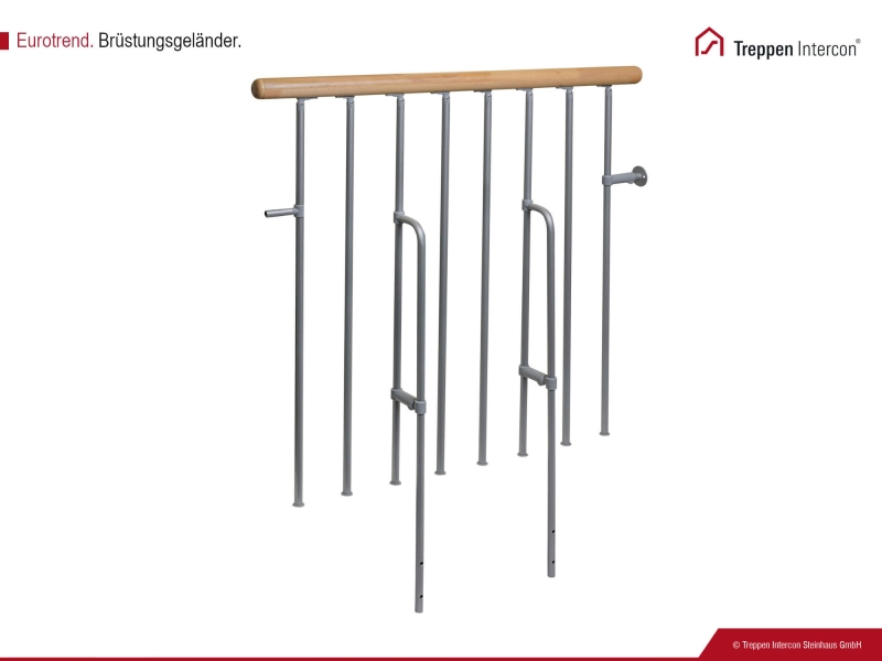 Brüstungsgeländer Intercon® Eurotrend für Raumspartreppen